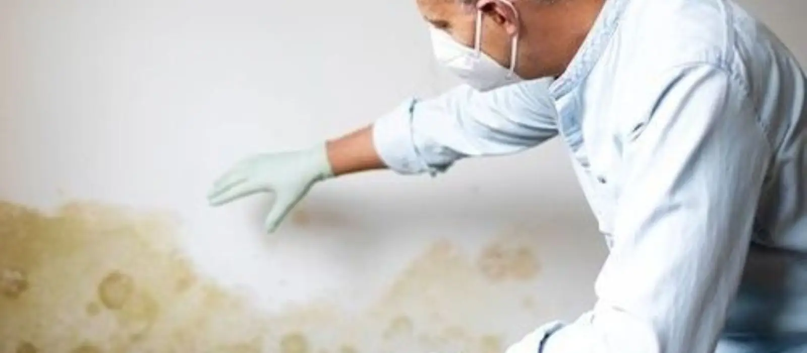 Technician in a mask inspecting a stained wall for hidden moisture