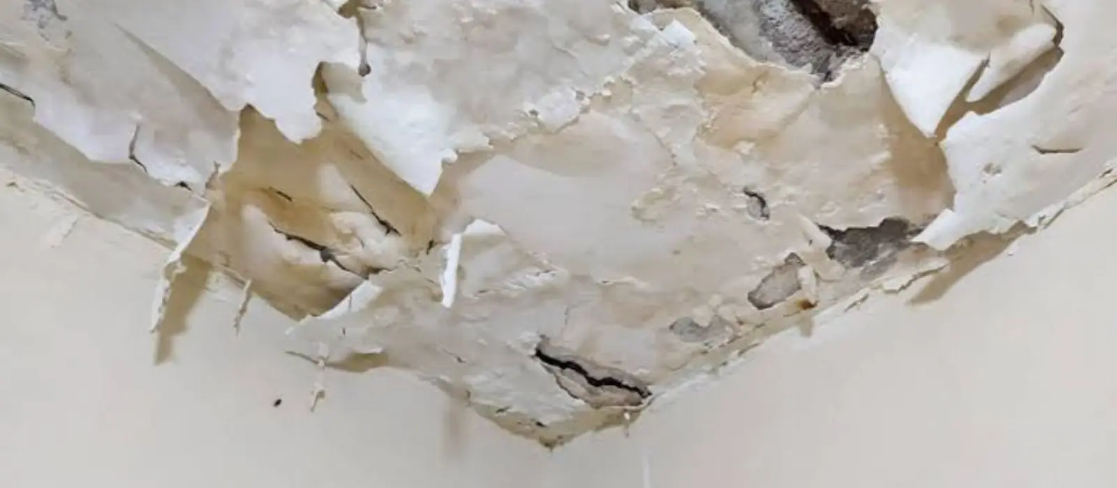 Peeling paint and drywall on a water damaged ceiling