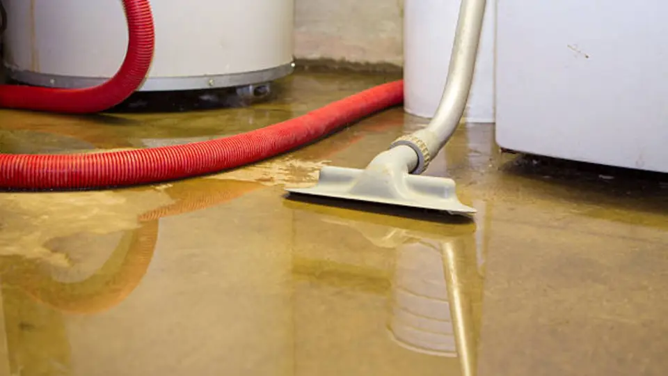 Wet vacuum removing water from a basement floor