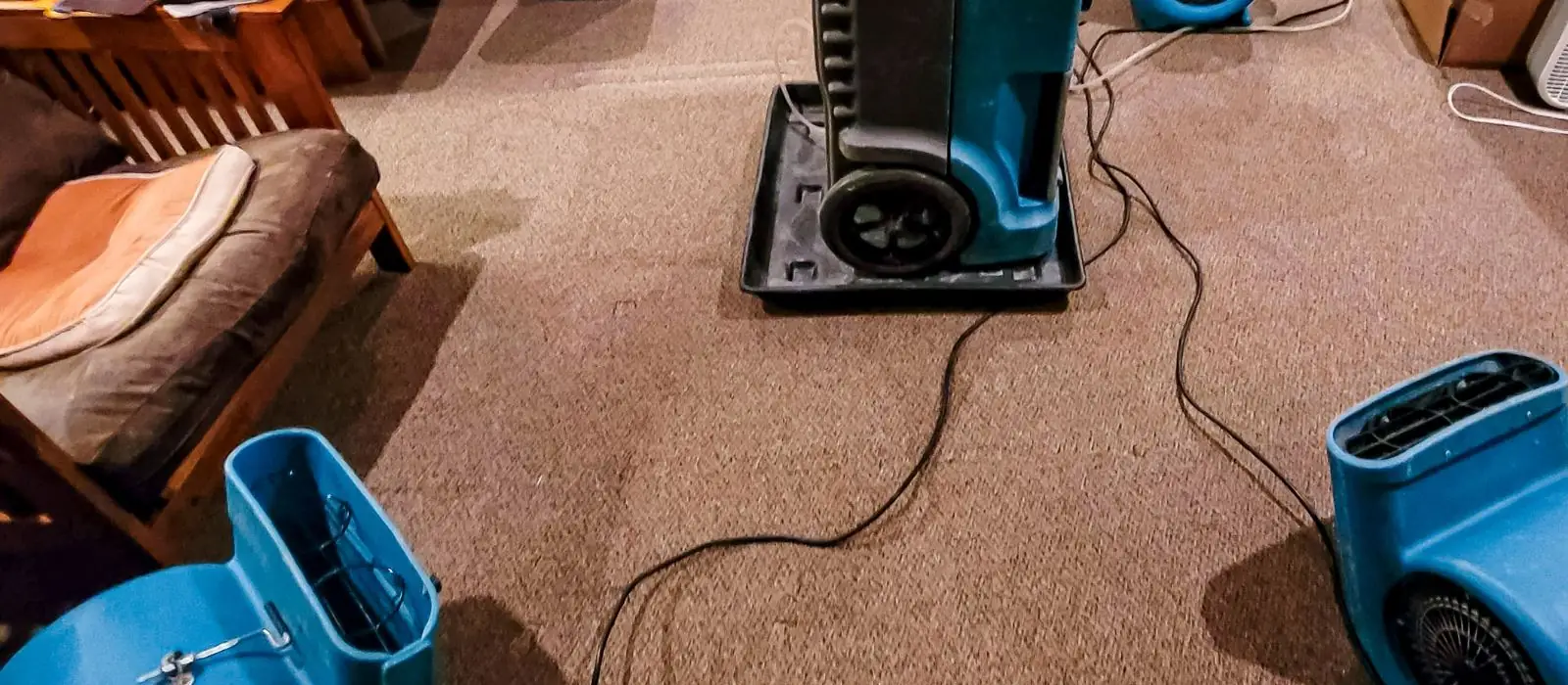 Air movers and a dehumidifier drying carpet in a living room